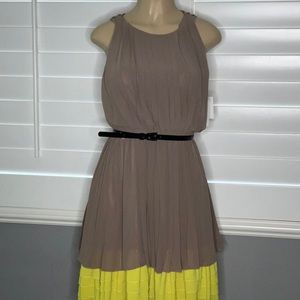 Pleated Flowy Dress